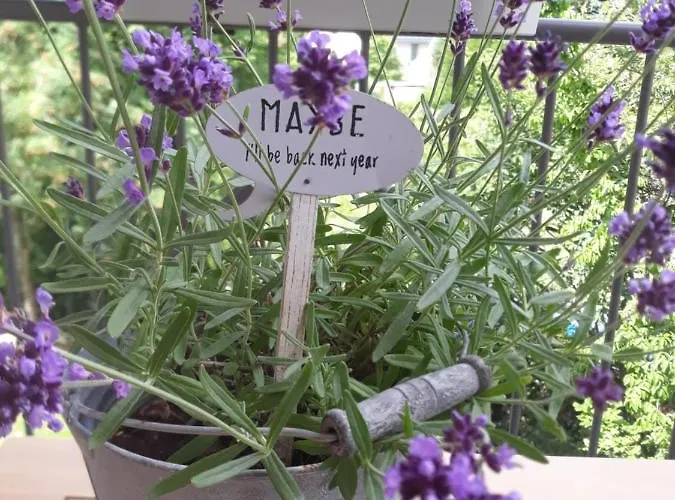 Apartmán Haus Giesner